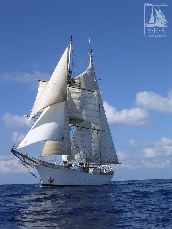 SSV Corwith Cramer (1987)